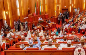 Senate-Nigeria-worldfrontng.com