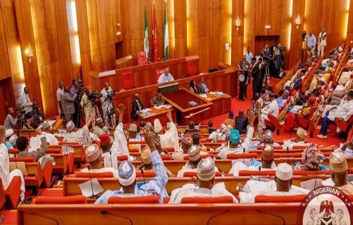 Senate-Nigeria-worldfrontng.com