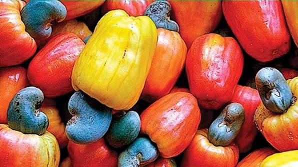 Ghana Turns Cashew-worldfrontng.com.792
