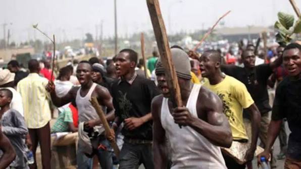 Rising Jungle Justice-worldfrontng.com