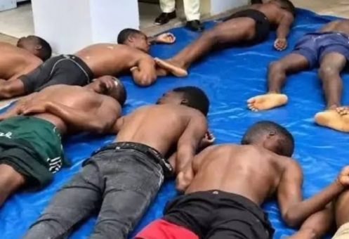 PRP Calls for Prosecution-worldfrontng.com